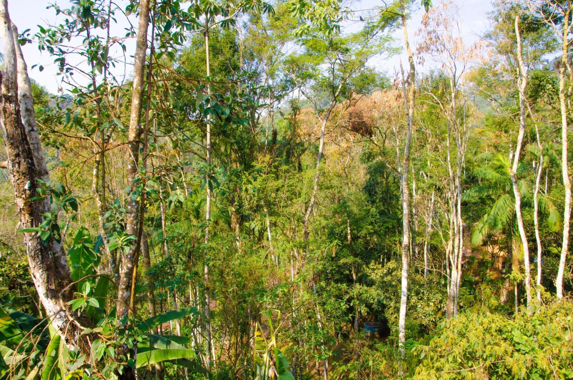 Pousada Aconchego Shangrilla Penedo  Buitenkant foto